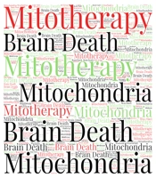 Mitotherapy and the Possibility of Energetic Rescue in Evolving Brain Death