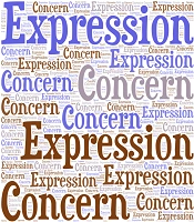 Expression of Concern for Preventive Effect of Garlic (Allium sativum L.) on Serum Biochemical Factors and Histopathology of Pancreas and Liver in Streptozotocin- Induced Diabetic Rats [IJ Pharm Res. 2013; 12(3): e125679]