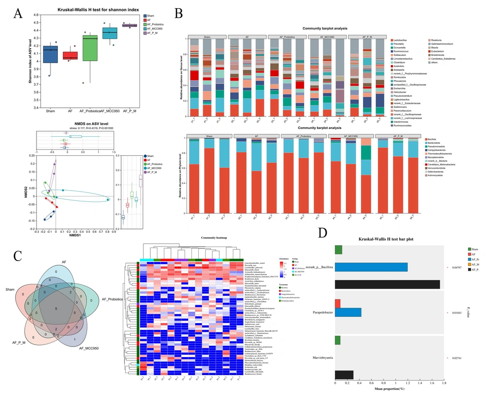 Probiotics enhanced the diversity and composition of the intestinal microbiota, thereby inhibiting atrial fibrillation (AF) in rats. A, the upper sub-plot shows the Kruskal-Wallis H test for the Shannon index. The lower sub-plot is an NMDS analysis at the ASV level (stress = 0.117, P = 0.001). B, community barplot analysis at the genus (upper) and phylum (lower) levels. C, the Venn diagram shows shared and unique ASVs, while the community heatmap clusters samples based on species abundance. D, Kruskal-Wallis H test bar plot validates significant differences in specific taxonomic units (e.g., norank_p_Bacillota, Parapedobacter) among groups. Probiotics enhanced the diversity and composition of the intestinal microbiota, thereby inhibiting atrial fibrillation (AF) in rats. A, the upper sub-plot shows the Kruskal-Wallis H test for the Shannon index. The lower sub-plot is an NMDS analysis at the ASV level (stress = 0.117, P = 0.001). B, community barplot analysis at the genus (upper) and phylum (lower) levels. C, the Venn diagram shows shared and unique ASVs, while the community heatmap clusters samples based on species abundance. D, Kruskal-Wallis H test bar plot validates significant differences in specific taxonomic units (e.g., norank_p_Bacillota, Parapedobacter) among groups.
