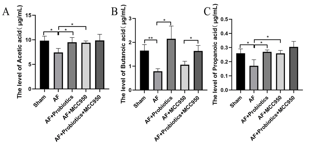 Probiotics treatment increased the metabolite short-chain fatty acids (SCFAs). A-C, gas chromatography-mass spectrometry (GC-MS) was used to measure SCFA concentrations (acetic acid, propionic acid, and butyric acid). * P < 0.05, ** P < 0.01. Probiotics treatment increased the metabolite short-chain fatty acids (SCFAs). A-C, gas chromatography-mass spectrometry (GC-MS) was used to measure SCFA concentrations (acetic acid, propionic acid, and butyric acid). * P < 0.05, ** P < 0.01.