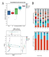 Probiotics Ameliorate Atrial Fibrillation-Associated Biomarkers and Inflammation in Rats via Modulation of the Gut Microbiota and NLRP3 Inflammasome Pathway