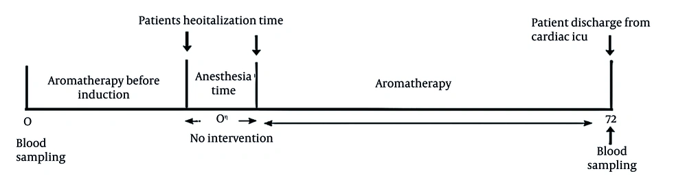 Time line of this study Time line of this study