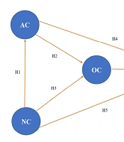 Overcoming Liability of Outsidership Under Sanctions: A Capability-Based Framework from Emerging Market Pharmaceuticals