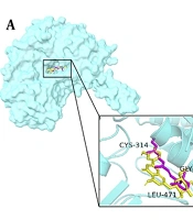 ALDH1A3 Inhibition by Prosopis farcta Phytochemicals: A Computational Exploration of a Potential Antidiabetic Mechanism