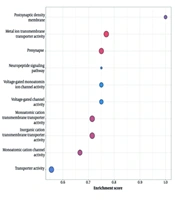 RNA-Seq Analysis of Morphine-Induced Gene Expression Changes in the Mouse Nucleus Accumbens