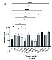 Silymarin Exerts Potent Antipruritic Effects Against Chloroquine-Induced Scratching in Mice by Modulating the NO/NF-κB/TRPA1 Pathway