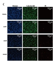 Gamabufotalin Suppresses Colorectal Cancer Growth via Oxidative Stress-Induced Apoptosis and DNA Synthesis Inhibition