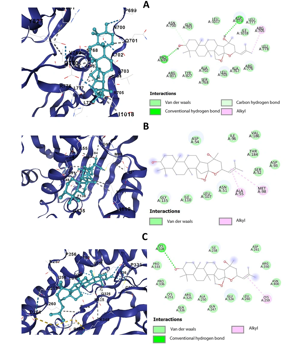 Anticancer Effects of Ziziphus jujuba in Human Breast Carcinoma