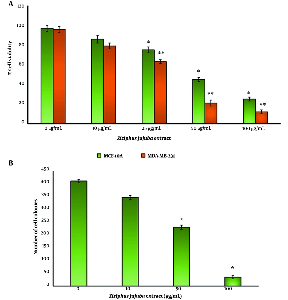 Anticancer Effects of Ziziphus jujuba in Human Breast Carcinoma