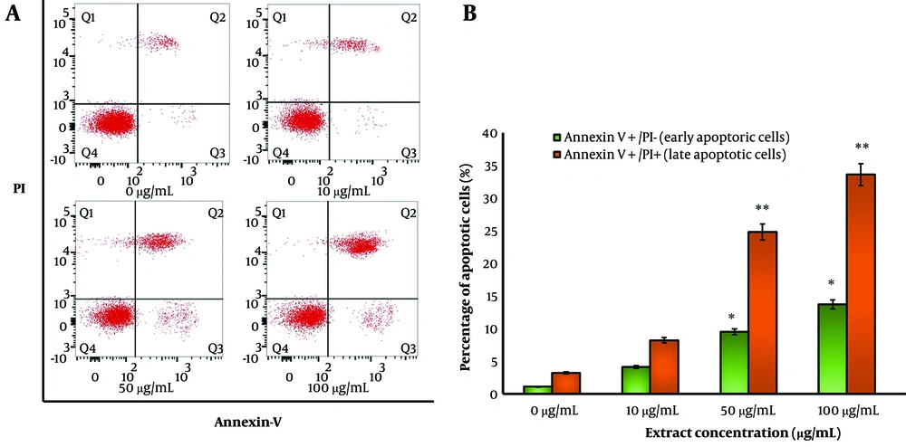 Anticancer Effects of Ziziphus jujuba in Human Breast Carcinoma