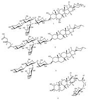 Four Steroidal Saponins Isolated from the Aerial Parts of Allium jesdianum Exhibit Antibiofilm Effects Against Colistin-Resistant Clinical Strains, with an In Silico Study