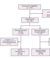 Adjunct Low-Dose Dexmedetomidine for Sedation in Mechanically Ventilated Children: An Exploratory Randomized Trial