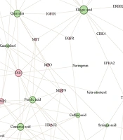 Integrative Network Analysis of Bioactive Compounds from Punica granatum L. Peel: Multi-Target Mechanisms in Wound Healing