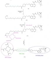 Design, Synthesis, Molecular Docking, and Preclinical Evaluation of a New Radiolabeled PEG3-Linked FAPI Derivative for Fibroblast Activation Protein Targeting