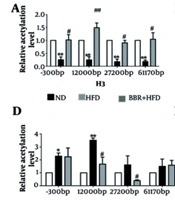 Berberine Alleviates Hepatic Steatosis by Restoring CPT1α Histone Acetylation and Modulating HDAC2/SIRT2