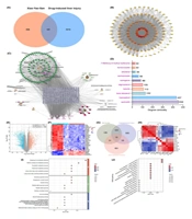 Integrative Network Pharmacology and Experimental Validation Reveal Multi-target Hepatoprotective Mechanisms of Bioactive Compounds from Xiao-Yao-San