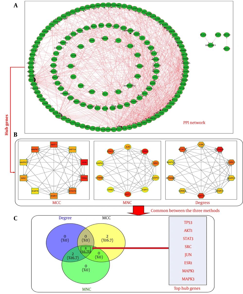 A, Protein–protein interaction (PPI) network of 181 common targets generated using STRING, exhibiting significant connectivity (641 edges; P < 1.0 × 10<sup>-16</sup>) and strong biological interdependence. B, Hub gene identification using cytoHubba algorithms highlighting TP53, AKT1, and STAT3 among the top ranked nodes. C, Subnetwork visualization of key hub genes emphasizing their central regulatory roles in gastric cancerassociated networks. A, Protein–protein interaction (PPI) network of 181 common targets generated using STRING, exhibiting significant connectivity (641 edges; P < 1.0 × 10<sup>-16</sup>) and strong biological interdependence. B, Hub gene identification using cytoHubba algorithms highlighting TP53, AKT1, and STAT3 among the top ranked nodes. C, Subnetwork visualization of key hub genes emphasizing their central regulatory roles in gastric cancerassociated networks.