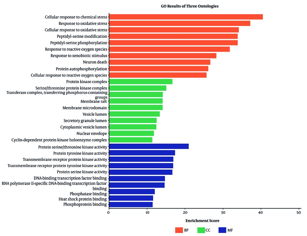 A, Gene Ontology enrichment analysis showing major biological process categories. B, cytoHubba-based hub gene ranking using degree, MCC, and MNC methods. C, Visualization of enriched functional categories and molecular functions. A, Gene Ontology enrichment analysis showing major biological process categories. B, cytoHubba-based hub gene ranking using degree, MCC, and MNC methods. C, Visualization of enriched functional categories and molecular functions.