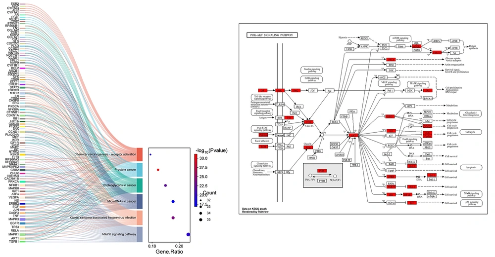 A, KEGG pathway enrichment (Sankey plot) showing association with major signalling pathways. B, Mapping of common targets within the PI3K-Akt signalling pathway A, KEGG pathway enrichment (Sankey plot) showing association with major signalling pathways. B, Mapping of common targets within the PI3K-Akt signalling pathway