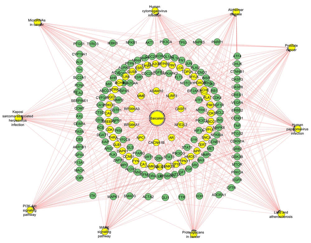 Integrated network pharmacology diagram depicting Baicalein as a central multitarget regulator interacting with key proteins and multiple interconnected signalling pathways, reflecting its polypharmacological mechanism. Integrated network pharmacology diagram depicting Baicalein as a central multitarget regulator interacting with key proteins and multiple interconnected signalling pathways, reflecting its polypharmacological mechanism.