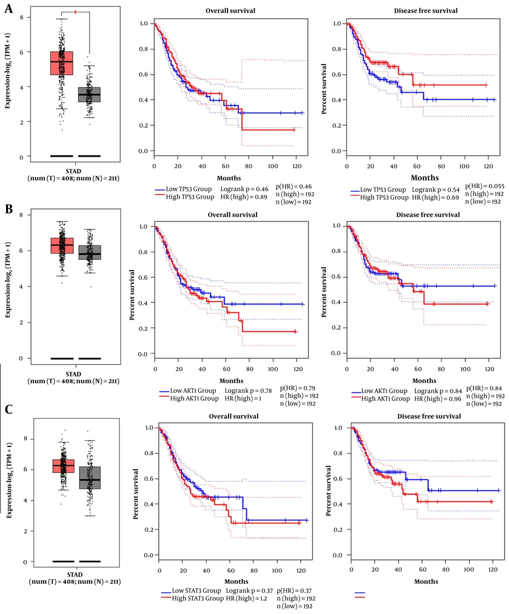 A–C, Differential gene expression analysis (left panels) showing significant upregulation of TP53, AKT1, and STAT3 in gastric cancer tissues compared to normal controls, and corresponding Kaplan–Meier survival curves (right panels) indicating trends toward poorer prognosis with elevated expression, supporting their clinical relevance. A–C, Differential gene expression analysis (left panels) showing significant upregulation of TP53, AKT1, and STAT3 in gastric cancer tissues compared to normal controls, and corresponding Kaplan–Meier survival curves (right panels) indicating trends toward poorer prognosis with elevated expression, supporting their clinical relevance.