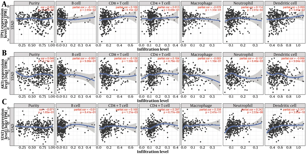 Correlation analysis between hub gene expression and immune cell infiltration demonstrating distinct immunomodulatory roles, with mutant-TP53 showing mixed associations, AKT1 exhibiting modest negative correlations, and STAT3 displaying strong positive correlations with multiple immune cell populations, indicating its prominent involvement in tumor microenvironment regulation. Correlation analysis between hub gene expression and immune cell infiltration demonstrating distinct immunomodulatory roles, with mutant-TP53 showing mixed associations, AKT1 exhibiting modest negative correlations, and STAT3 displaying strong positive correlations with multiple immune cell populations, indicating its prominent involvement in tumor microenvironment regulation.