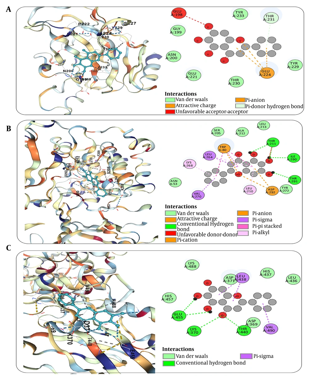 A, Molecular docking of baicalein with mutant-TP53 showing stable binding (−6.6 kcal/mol) via hydrogen bonding, π-interactions, and van der Waals contacts within functional pockets. B, Docking with AKT1 demonstrating the strongest binding affinity (−9.7 kcal/mol), supported by multiple hydrogen bonds and π-based interactions within the kinase domain. C, STAT3 interaction profile (−7.3 kcal/mol) indicating stable binding within the SH2 domain through hydrogen bonding and hydrophobic interactions, collectively supporting a multitarget inhibitory mechanism. A, Molecular docking of baicalein with mutant-TP53 showing stable binding (−6.6 kcal/mol) via hydrogen bonding, π-interactions, and van der Waals contacts within functional pockets. B, Docking with AKT1 demonstrating the strongest binding affinity (−9.7 kcal/mol), supported by multiple hydrogen bonds and π-based interactions within the kinase domain. C, STAT3 interaction profile (−7.3 kcal/mol) indicating stable binding within the SH2 domain through hydrogen bonding and hydrophobic interactions, collectively supporting a multitarget inhibitory mechanism.