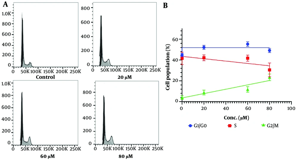 A, Representative DNA-content histograms illustrating cell cycle distribution following baicalein treatment. B, Quantitative analysis demonstrating dose-dependent accumulation of cells in the G2/M phase with reduction in S-phase population, indicating cell cycle arrest and inhibition of proliferation. A, Representative DNA-content histograms illustrating cell cycle distribution following baicalein treatment. B, Quantitative analysis demonstrating dose-dependent accumulation of cells in the G2/M phase with reduction in S-phase population, indicating cell cycle arrest and inhibition of proliferation.
