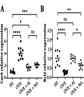 Comparison of Naringenin and Alendronate in the Attenuation of Ovariectomy-Induced Osteoporosis by Modulating Autophagy, Apoptosis, and Oxidative Stress in Rats