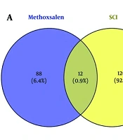 Protective Effect of Methoxsalen on Spinal Cord Injury in the Rat Model via Regulation of the PI3K/Akt Pathway