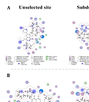 Binding of Epimedium Flavonoids to Human Serum Albumin: Insights from Spectroscopic and Molecular Docking Studies