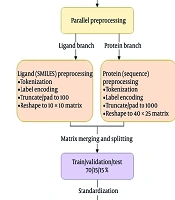 Lightweight 2D-Convolutional Neural Network for Drug-Kinase Binding Affinity Prediction with Minimal Encoded Representations