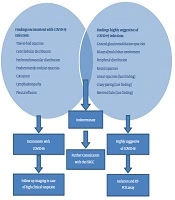 Radiologic Management of COVID-19: Preliminary Experience of the Iranian Society of Radiology COVID-19 Consultant Group (ISRCC)