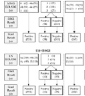 Breast-specific Gamma Imaging (BSGI) as a Complementary Imaging Tool for BI-RADS 0 and 4a Lesions on Mammography or Ultrasonography