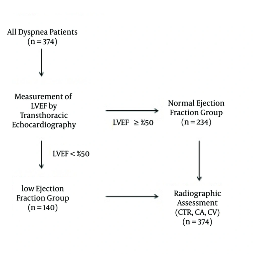 Flow chart illustrating the selection of patients; Abbreviations: CA, cardiac area; CTR, cardiothoracic ratio; CV, cardiac volume; LVEF, left ventricular ejection fraction. Flow chart illustrating the selection of patients; Abbreviations: CA, cardiac area; CTR, cardiothoracic ratio; CV, cardiac volume; LVEF, left ventricular ejection fraction.
