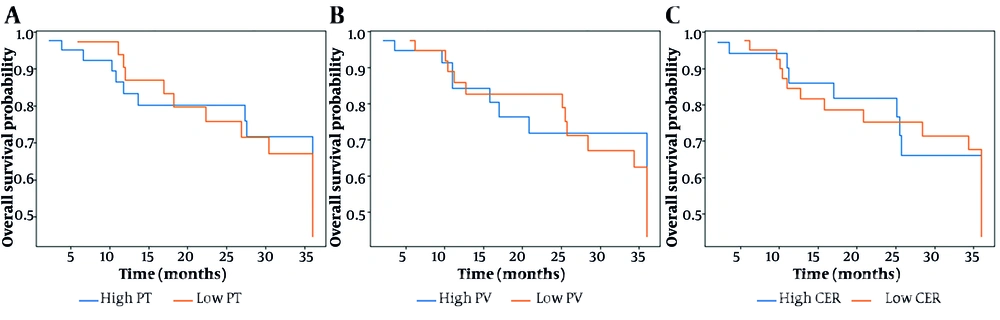 Kaplan-Meier survival curves of lung cancer patients stratified by (A) peak time (PT), (B) peak value (PV), and (C) contrast enhancement ratio (CER). Patients were divided into high and low groups according to the optimal cut-off values derived from receiver operating characteristic (ROC) curve analysis. Differences between groups were assessed using the log-rank test. Kaplan-Meier survival curves of lung cancer patients stratified by (A) peak time (PT), (B) peak value (PV), and (C) contrast enhancement ratio (CER). Patients were divided into high and low groups according to the optimal cut-off values derived from receiver operating characteristic (ROC) curve analysis. Differences between groups were assessed using the log-rank test.