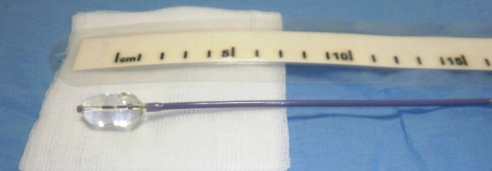 Inflated balloon catheter system (Kyphon<sup>®</sup>, Medtronic, 20 mm length) Inflated balloon catheter system (Kyphon<sup>®</sup>, Medtronic, 20 mm length)