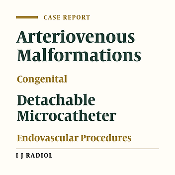 Congenital and Acquired Renal Arteriovenous Malformations: Curative Embolization with Onyx
