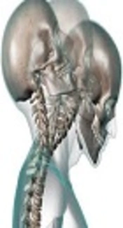 Preliminary Study of Diffusion Kurtosis Imaging in Mild Traumatic Brain Injury