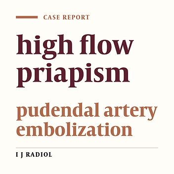 Selective Arterial Embolization in the Treatment of High Flow Priapism: Report of 5 Cases