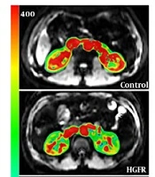 Iranian Journal of Radiology