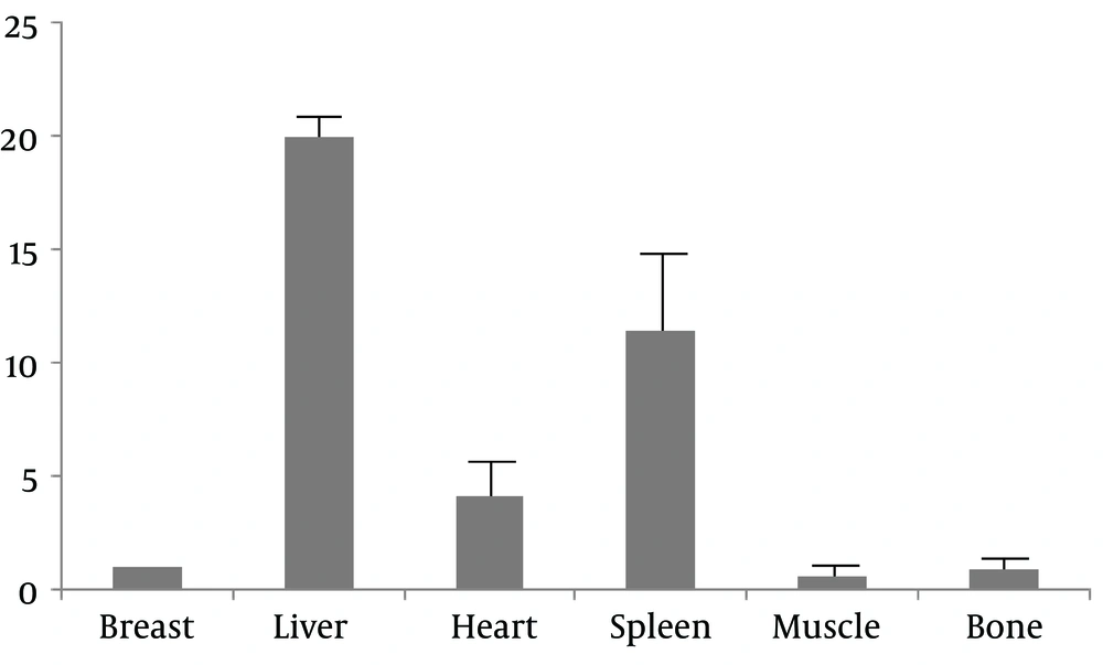 The bio-distribution of <sup>99m</sup>Tc-labeled human epidermal growth factor receptor 2 (HER2) affibody in normal tissues (Y axis: organ or tissue to breast ratio) The bio-distribution of <sup>99m</sup>Tc-labeled human epidermal growth factor receptor 2 (HER2) affibody in normal tissues (Y axis: organ or tissue to breast ratio)