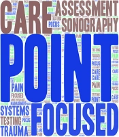 Bedside Point-of-Care Ultrasonography in Anesthesiology and Pain Management: A New Trend in Iran: A Narrative Review