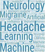 Interv Pain Med Neuromod