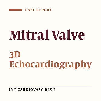 Cleft in the Anterior Mitral Valve Leaflet Assessed by Real-time 3D Echocardiography
