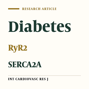 Upregulation of Ryanodine Receptor Calcium Channels (RyR2) in Rats with Induced Diabetes after 4 Weeks of High Intensity Interval Training
