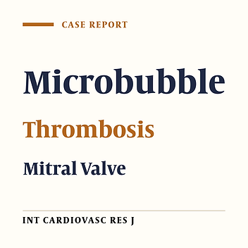 Intense Microbubbles Mimicking Mobile Thrombus in a Patient with Prosthetic Mitral Valve