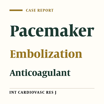 Inadvertent Implantation of Pacemaker Lead in the Left Ventricle: Kill Two Birds with One Stone
