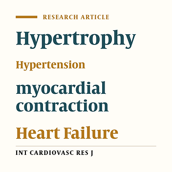 Left Ventricular Strain in Patients with Hypertensive Heart Disease and Normal Ejection Fraction Assessed by Speckle Tracking Echocardiography