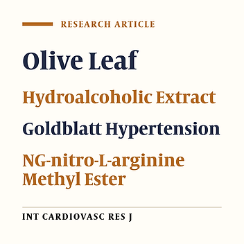 The Effect of Hydroalcoholic Extract of Olive Leaves on Blood Pressure in Rat Model of Two-Kidney, One-Clip Goldblatt Hypertension